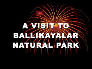 A VISIT TO BALLIKAYALAR NATURAL PARK 