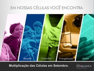 Multiplicação das Células em Setembro.Multiplicação das Células em Setembro.
 
