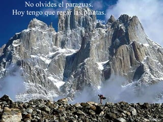 No olvides el paraguas. Hoy tengo que regar las plantas.   Dios Al Mendoza 