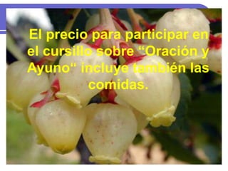 El precio para participar en
el cursillo sobre “Oración y
Ayuno“ incluye también las
comidas.
 