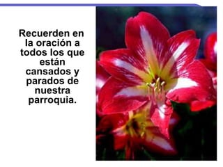 Recuerden en
la oración a
todos los que
están
cansados y
parados de
nuestra
parroquia.
 