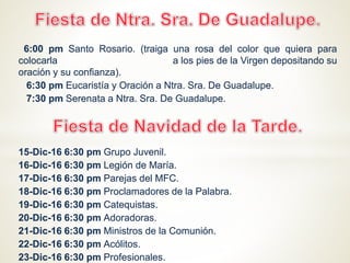 6:00 pm Santo Rosario. (traiga una rosa del color que quiera para
colocarla a los pies de la Virgen depositando su
oración y su confianza).
6:30 pm Eucaristía y Oración a Ntra. Sra. De Guadalupe.
7:30 pm Serenata a Ntra. Sra. De Guadalupe.
15-Dic-16 6:30 pm Grupo Juvenil.
16-Dic-16 6:30 pm Legión de María.
17-Dic-16 6:30 pm Parejas del MFC.
18-Dic-16 6:30 pm Proclamadores de la Palabra.
19-Dic-16 6:30 pm Catequistas.
20-Dic-16 6:30 pm Adoradoras.
21-Dic-16 6:30 pm Ministros de la Comunión.
22-Dic-16 6:30 pm Acólitos.
23-Dic-16 6:30 pm Profesionales.
 
