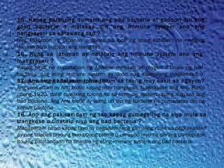 15. Kapag parehong dumami ang bad bacteria at ganoon din ang
good bacteria o malakas din ang immune system ano ang
nangyayari sa katawang tao ?
Nag kakaroon ng labanan o giyera sa loob ng ating katawan na nagiging
dahilan para lagnatin ang isang tao
16. Kung sa labanan ay natatalo ang Immune system ano ang
mangyayari ?
Kapag hindi na suportahan ng Alkaline minerals at oxygen o tinalo ng bad
bacteria  ang ating immune system ay doon nag sisimulang magkasakit o
trangkasuhin ng lubusan ang  isang tao17. Ano ang kadalasan ipina iinum sa taong may sakit sa ngayon?
Ang pina iinum ay Anti biotic kapag may trangkaso. Nadiskubre ang Anti- Biotic
noong 1920. dahil malaking tulong ito sa Immune system upang sugpuin ang
bad bacteria. Ang Anti biotic ay isang uri din ng bacteria na pumapatay din ng
kapwa bacteria
18. Ano ang pakiramdam ng tao kapag gumagaling na siya mula sa
trangkaso o tinatalo niya ang bad bacteria ?
Mapapansin ninyo kapag tayo ay nagsisimulang gumaling mula sa pagkakasakit
ay nag lalabas tayo ng buo buong plema o umuubo tayo na parang pumoputok.
Ito ang palatandaan na tinatalo ng ating immune system ang bad bacteria
 
