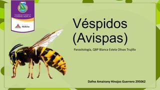 Véspidos
(Avispas)
Parasitología, QBP Blanca Estela Olivas Trujillo
Dafne Amairany Hinojos Guerrero 295062
 