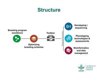 ICRISAT Global Planning Meeting 2019:  Modernising Crop Improvement II (AVISA) by  Jan Debaene