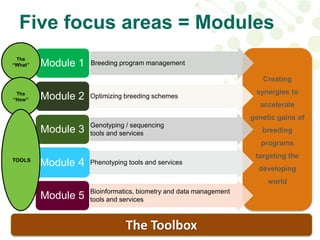 ICRISAT Global Planning Meeting 2019:  Modernising Crop Improvement II (AVISA) by  Jan Debaene