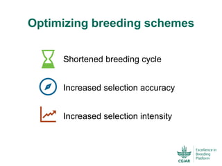 ICRISAT Global Planning Meeting 2019:  Modernising Crop Improvement II (AVISA) by  Jan Debaene