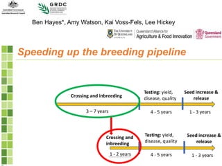 ICRISAT Global Planning Meeting 2019:  Modernising Crop Improvement II (AVISA) by  Jan Debaene