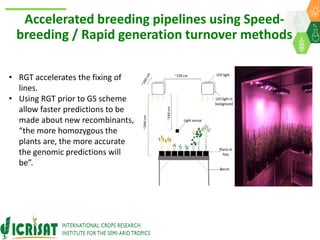 ICRISAT Global Planning Meeting 2019:  Modernising Crop Improvement II (AVISA) by  Jan Debaene