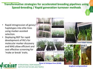 ICRISAT Global Planning Meeting 2019:  Modernising Crop Improvement II (AVISA) by  Jan Debaene