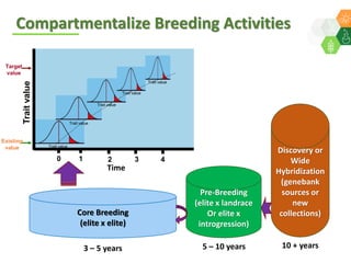 ICRISAT Global Planning Meeting 2019:  Modernising Crop Improvement II (AVISA) by  Jan Debaene