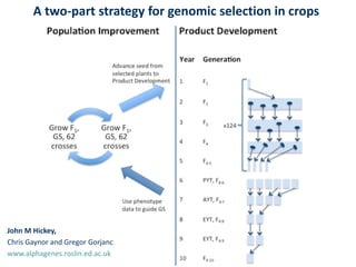 ICRISAT Global Planning Meeting 2019:  Modernising Crop Improvement II (AVISA) by  Jan Debaene