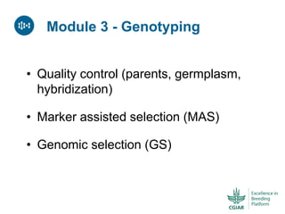 ICRISAT Global Planning Meeting 2019:  Modernising Crop Improvement II (AVISA) by  Jan Debaene