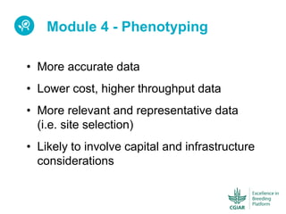 ICRISAT Global Planning Meeting 2019:  Modernising Crop Improvement II (AVISA) by  Jan Debaene