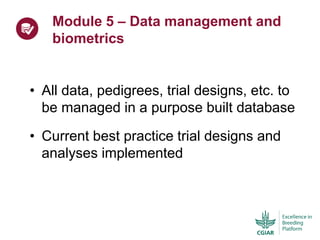 ICRISAT Global Planning Meeting 2019:  Modernising Crop Improvement II (AVISA) by  Jan Debaene