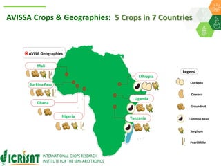 ICRISAT Global Planning Meeting 2019:  Modernising Crop Improvement II (AVISA) by  Jan Debaene