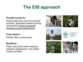 ICRISAT Global Planning Meeting 2019:  Modernising Crop Improvement II (AVISA) by  Jan Debaene