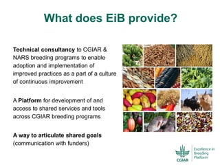 ICRISAT Global Planning Meeting 2019:  Modernising Crop Improvement II (AVISA) by  Jan Debaene