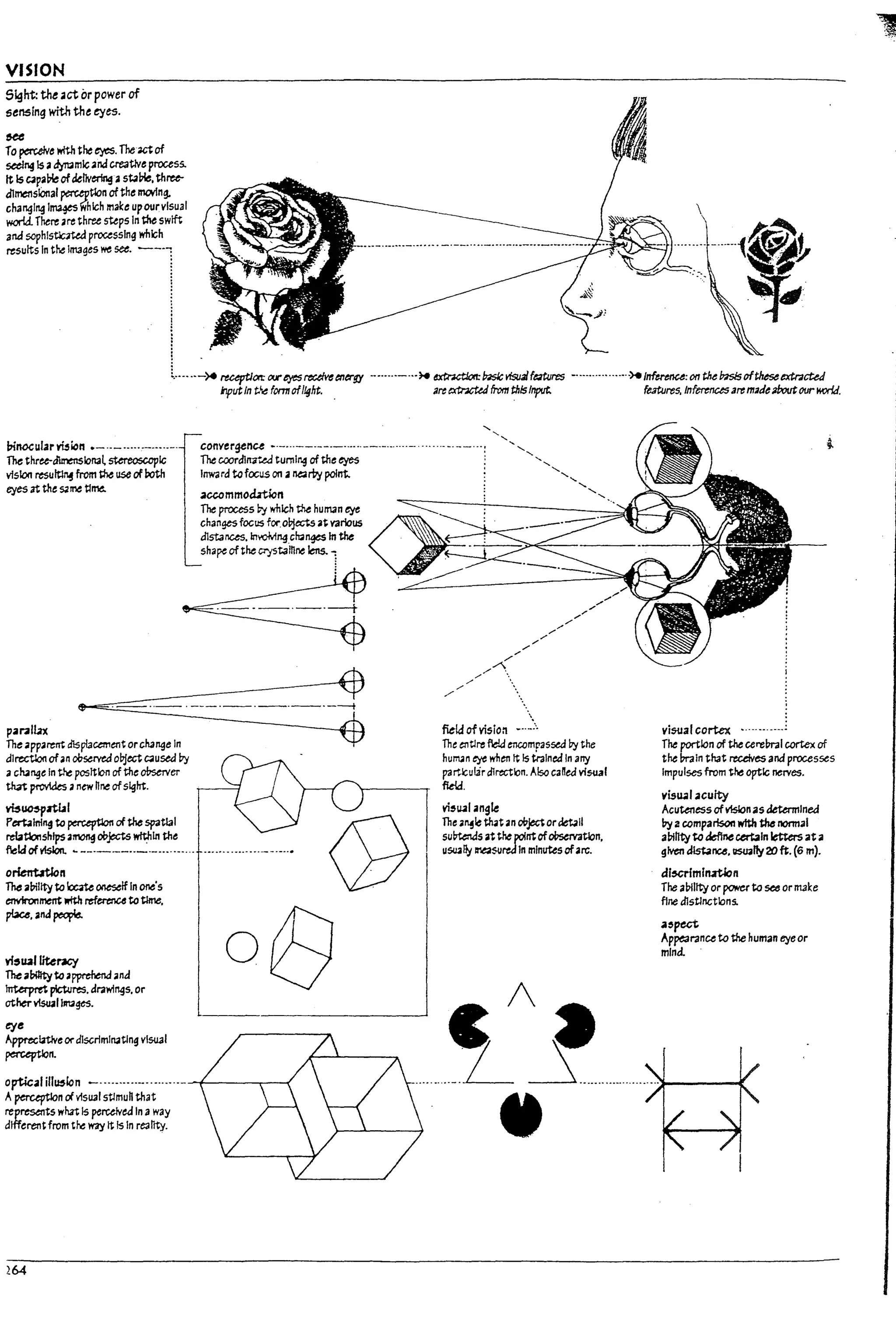 VISION
5~ht: the;let orpower of
sen5ing with the eyes.
&ee
r0 pac.elve with the eyes. The actof
seei"41s a~mlc and creativeprocess.
It 15 capaP-leof &ellveringa s~~. three-
dimensIOnal perctptlon of the II1OfIng.
changing 1m3¥swhich make upourvlsual
world.There are three steps In the swift
and sophls~ processing which
"'su~s In,t. ""'g"we see. --1
I
t.......-~ reuptlon: 0tJr eyes~ ~ergy .......,-...~ ~ ~ visu3Ifmures _
.................~ Irtferenu: on the b1sIstlftheseextracted
klputIn t.~~ form ofl!glrt. . a~ ~ from thisInput. fe3ture5. Infcmlces a~ made3boutourKOrld.
l1inocularmicn .-.._ ......- .....-.
The thru-dimenslonal stereoscopic
vision resuftl~ from ~ use of both
eyes at the ~~ tllM.
" ' ...
~:;;~~~~~~-;,-;,.;~.--.-....... - ........ -.--... ~ ""
Inwara tcfocus on .. ~&i point. ....."
.....
4~mmo~n .....,
The ~5 ~ which the hUlTl3n ~
changes focus for.ol1ects at various
dlstanus. im'01v1"4ch<a"¥5 In the
shape of the Cl"'jstalnoe lens. 1
h.':~_~:=~ng.'n-·---·--·---~
dlrectlon ofan ooserveaoljeaC<lusea !7y
achange In the position of the oUserver
that provides anewhoe ofsight.
m~rt1a1
Pertalnl~ to ~ of the spatial
relationships a:nong oop;tswft:hln the
fleklofv1slon. ~ -_._-_.._.-.....-.... ...............--_._..•
orientltfon
The ability to Wxm oneself In one's
environment .nth referenu tc time.
pbce.ana~
Yi5U4t literacy
The a~ to apprehend and
~ pictures. dl'2wfngs. or
ot~~IINges.
eye
AppreciativeordISCriminating VISU31
perception.
optical iII~icn - ..........- .........----f----r----<
Aperuptlon civisualsUmuh that
rep~t5 what Is perctlved In away
differentfrom tM way It Is In re3tlty.
264
,.
,,/
./
/0
,. '.
,. '.
,. ..
./  ..
fitld of vision _..
,.
,./
,.
The etltJre fe!a enalmt'3ssed ~ the
hum.an ~ wh~ It Is tnlnea In arry
par-xulirdirection. Also caned visual
fletd.
vi~~1 angle
The 3~lethat3n oPjector~1I
sulrtenas at*'epoint ofoI1semtlon.
USU3~ lI'IeasureJln mlnuteschrc.
visual cortex
The portion of the ure!n-al cortex of
the In-aln that recdves and processes
Impulses from the optic nerves.
visu.;12CUIty
Acuteness of v15Ion 25 determined
by 2 comparison wfth the nonnal
abillty to ~ certain ~ at a
g!Yen dlst.anee. IlSUaIly20 ft. (6 m).
df~m!nztJon
The a17i1ity or power tc see or m3ke
fine distinctions.
.1,pect
Appeal'3nce tc the human eyeor
mind.
j
, t
I
I
I
I
I
l
I
l
L
b
L
~
L
L
L
L
_J
 