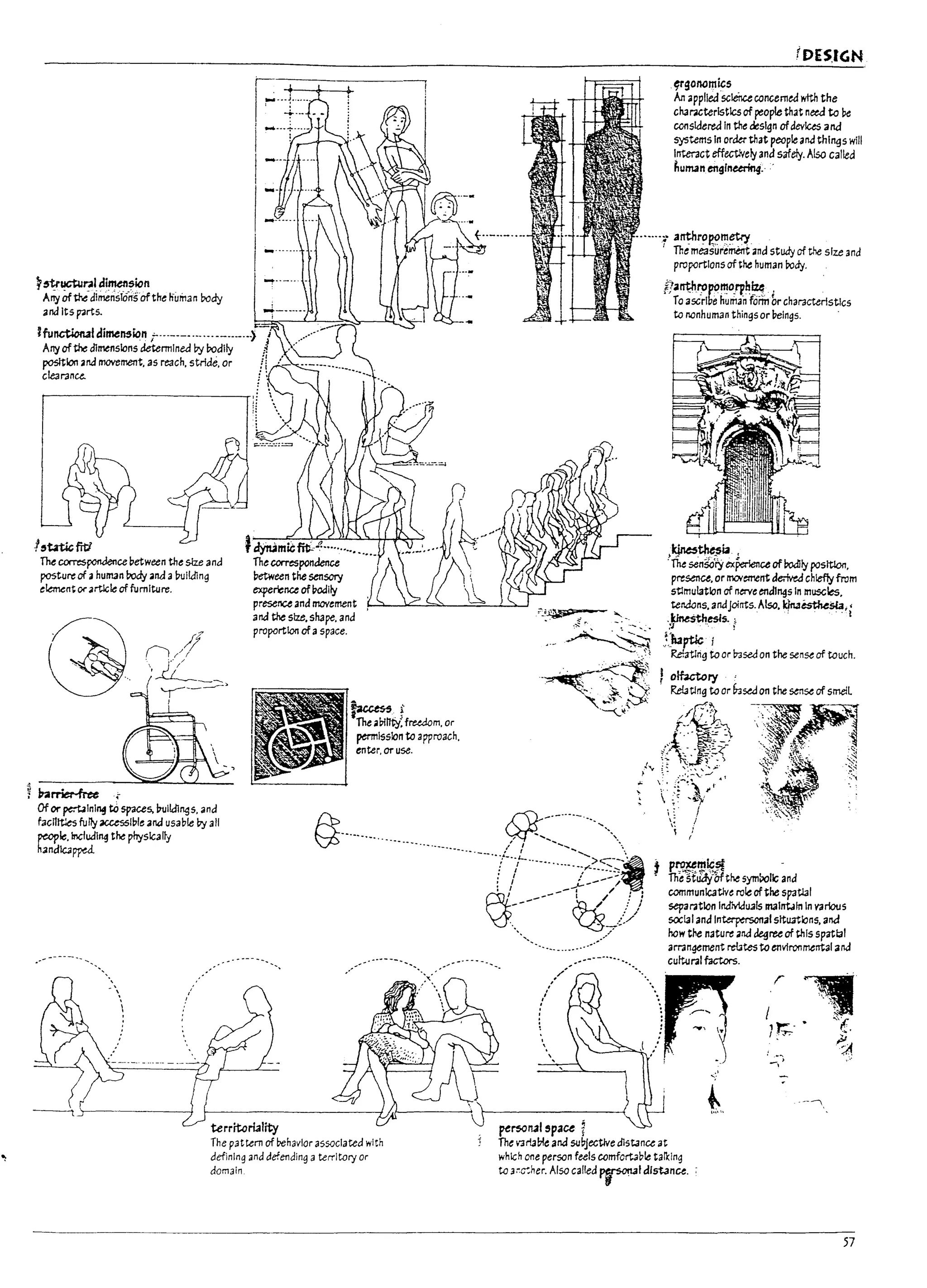 r
l
f'
!
j
It
f
r
i
~5tructul4ll ~sion
ArTy Ofthe-dimenslO;,softhe tiuman body
and It5 p-art5.
I
I
I
I
I
ffunctioM&imell5ion "-...----,-.·-.----.-.-i~
Arryofthe dlrnenslonsdetermlnea by bodily l
posltlon ana movement, 35 reach, stride, or !I:'-
clearanu.. f :
!,~fiti
The correspondence petween the size and
postureof 3human body aM alnJi!dlng
e!emcnt ~ artlcle of fuml~re.
jVa~
Of or ~Inl~ tospaces. Ptllk:Il~s. and
facntt:es fully accessIpIe and usap!e by ali
~1e.1nclud1~ the physically
h:mdlc3ppd
,i, J
11 ....)
~".",.
territoriality
~."
'The i1bltfty~frudom. or
permission to approach.
enter. or use.
fl·········...............
The pattern of ~havlor associated with
defining and defer1ding aterritory or
domain
"""
pe~11315pace ~
fDESJGN
~gonomiG5
Art applledsclei1ce concerned with the
cllaruterlstlcs of people that netd to Pc:
consIdered In the design ofdevices 3 nJ
systems In order that people an.:! things will
Interact effectlvely and safely. Also called
~uman engCnurin4.·
"'-"""1" a~r~~I11~
. The measur'embTt and study of t~ size and
proportions of the human rody.
Ra~ropoll10,rp~~ .f
To asc'rlbil humin furm orchmcterlstlcs
to nonhuman things or I1elngs.
~~ia.<
tThesenSoYy~f>erienceof Podlly position,
presence, or mo."etrent k.-Ived chieflyfrom
stlmu/.atlon of nerve endl~s In muscles,
tendons, aMJolnts.Also, k1na~$laii
,.~esi5..'
~)13ptJc i .
Relatrng to or lr3sed on the sense of touch.
t olfutory'
ReI.aClng to or &3sed on the sense of smelL
f!~}
f>'~~~
i' :;i~~i?'~
i: f
" j
'~
P~r.!J~;! -
The Sfuay-bfthe symtJol1c and
communicatlve role of the spatlal
separation Individuals malntJJn In varlous
soc13Iand Interpersonal sltuat.,ns, ana
how the n3ture anakgru of this spattal
arrangement re!Jtes toenvlronrnental ana
cultural factors.
I
r
]r;-' .
>
-,
The Vlr!a!7le and su~lectlve dl5t.ance at
which ooe person feels comfortable tal1:lng
to 3~~her. Also called~! distance. :
r,--,-
57
 