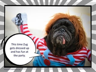 This time Zug
gets dressed up
and has fun at
the party.
Image: Shutterstock.com
©Instaclustr Pty Limited 2019, 2021, 2022
 