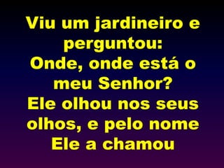 Viu um jardineiro e
perguntou:
Onde, onde está o
meu Senhor?
Ele olhou nos seus
olhos, e pelo nome
Ele a chamou
 
