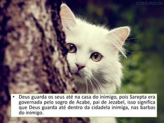 • Deus guarda os seus até na casa do inimigo, pois Sarepta era
  governada pelo sogro de Acabe, pai de Jezabel, isso significa
  que Deus guarda até dentro da cidadela inimiga, nas barbas
  do inimigo.
                       Pr. Moisés Sampaio de Paula           22
 