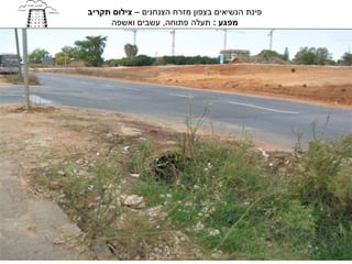 ‫פינת הנשיאים בצפון מזרח הצנחנים – צילום תקריב‬
     ‫מפגע : תעלה פתוחה, עשבים ואשפה‬
 
