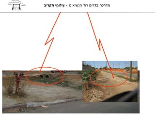 ‫מדרכה בדרום רח' הנשיאים - צילומי תקריב‬
 