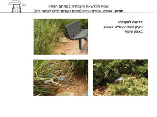 ‫שטח המדשאה והצמחיה במתחם הסתיו‬
‫מפגע: אשפה, ענפים ועלים )מדגם נקודות מייצג לשטח כולו(‬

                                                 ‫דרישה לפעולה:‬
                                         ‫ניקיון שטח פעמיים בשבוע‬
                                                     ‫באופן שוטף‬
 