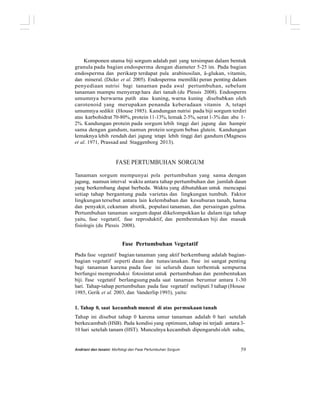Komponen utama biji sorgum adalah pati yang tersimpan dalam bentuk
granula pada bagian endosperma dengan diameter 5-25 ìm. Pada bagian
endosperma dan perikarp terdapat pula arabinosilan, â-glukan, vitamin,
dan mineral. (Dicko et al. 2005). Endosperma memiliki peran penting dalam
penyediaan nutrisi bagi tanaman pada awal pertumbuhan, sebelum
tanaman mampu menyerap hara dari tanah (du Plessis 2008). Endosperm
umumnya berwarna putih atau kuning, warna kuning disebabkan oleh
carotenoid yang merupakan penanda keberadaan vitamin A, tetapi
umumnya sedikit (House 1985). Kandungan nutrisi pada biji sorgum terdiri
atas karbohidrat 70-80%, protein 11-13%, lemak 2-5%, serat 1-3% dan abu 1-
2%. Kandungan protein pada sorgum lebih tinggi dari jagung dan hampir
sama dengan gandum, namun protein sorgum bebas glutein. Kandungan
lemaknya lebih rendah dari jagung tetapi lebih tinggi dari gandum (Magness
et al. 1971, Prassad and Staggenborg 2013).
FASE PERTUMBUHAN SORGUM
Tanaman sorgum mempunyai pola pertumbuhan yang sama dengan
jagung, namun interval waktu antara tahap pertumbuhan dan jumlah daun
yang berkembang dapat berbeda. Waktu yang dibutuhkan untuk mencapai
setiap tahap bergantung pada varietas dan lingkungan tumbuh. Faktor
lingkungan tersebut antara lain kelembaban dan kesuburan tanah, hama
dan penyakit, cekaman abiotik, populasi tanaman, dan persaingan gulma.
Pertumbuhan tanaman sorgum dapat dikelompokkan ke dalam tiga tahap
yaitu, fase vegetatif, fase reproduktif, dan pembentukan biji dan masak
fisiologis (du Plessis 2008).
Fase Pertumbuhan Vegetatif
Pada fase vegetatif bagian tanaman yang aktif berkembang adalah bagian-
bagian vegetatif seperti daun dan tunas/anakan. Fase ini sangat penting
bagi tanaman karena pada fase ini seluruh daun terbentuk sempurna
berfungsi memproduksi fotosintat untuk pertumbuhan dan pembentukan
biji. Fase vegetatif berlangsung pada saat tanaman berumur antara 1-30
hari. Tahap-tahap pertumbuhan pada fase vegetatif meliputi 3 tahap (House
1985, Gerik et al. 2003, dan Vanderlip 1993), yaitu:
1. Tahap 0, saat kecambah muncul di atas permukaan tanah
Tahap ini disebut tahap 0 karena umur tanaman adalah 0 hari setelah
berkecambah (HSB). Pada kondisi yang optimum, tahap ini terjadi antara 3-
10 hari setelah tanam (HST). Munculnya kecambah dipengaruhi oleh suhu,
Andriani dan Isnaini: Morfologi dan Fase Pertumbuhan Sorgum 59
 