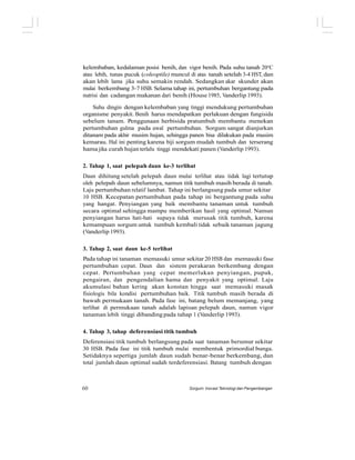 kelembaban, kedalaman posisi benih, dan vigor benih. Pada suhu tanah 20o
C
atau lebih, tunas pucuk (coleoptile) muncul di atas tanah setelah 3-4 HST, dan
akan lebih lama jika suhu semakin rendah. Sedangkan akar skunder akan
mulai berkembang 3-7 HSB. Selama tahap ini, pertumbuhan bergantung pada
nutrisi dan cadangan makanan dari benih (House 1985, Vanderlip 1993).
Suhu dingin dengan kelembaban yang tinggi mendukung pertumbuhan
organisme penyakit. Benih harus mendapatkan perlakuan dengan fungisida
sebelum tanam. Penggunaan herbisida pratumbuh membantu menekan
pertumbuhan gulma pada awal pertumbuhan. Sorgum sangat dianjurkan
ditanam pada akhir musim hujan, sehingga panen bisa dilakukan pada musim
kemarau. Hal ini penting karena biji sorgum mudah tumbuh dan terserang
hama jika curah hujan terlalu tinggi mendekati panen (Vanderlip 1993).
2. Tahap 1, saat pelepah daun ke-3 terlihat
Daun dihitung setelah pelepah daun mulai terlihat atau tidak lagi tertutup
oleh pelepah daun sebelumnya, namun titik tumbuh masih berada di tanah.
Laju pertumbuhan relatif lambat. Tahap ini berlangsung pada umur sekitar
10 HSB. Kecepatan pertumbuhan pada tahap ini bergantung pada suhu
yang hangat. Penyiangan yang baik membantu tanaman untuk tumbuh
secara optimal sehingga mampu memberikan hasil yang optimal. Namun
penyiangan harus hati-hati supaya tidak merusak titik tumbuh, karena
kemampuan sorgum untuk tumbuh kembali tidak sebaik tanaman jagung
(Vanderlip 1993).
3. Tahap 2, saat daun ke-5 terlihat
Pada tahap ini tanaman memasuki umur sekitar 20 HSB dan memasuki fase
pertumbuhan cepat. Daun dan sistem perakaran berkembang dengan
cepat. Pertumbuhan yang cepat memerlukan penyiangan, pupuk,
pengairan, dan pengendalian hama dan penyakit yang optimal. Laju
akumulasi bahan kering akan konstan hingga saat memasuki masak
fisiologis bila kondisi pertumbuhan baik. Titik tumbuh masih berada di
bawah permukaan tanah. Pada fase ini, batang belum memanjang, yang
terlihat di permukaan tanah adalah lapisan pelepah daun, namun vigor
tanaman lebih tinggi dibanding pada tahap 1 (Vanderlip 1993).
4. Tahap 3, tahap deferensiasi titik tumbuh
Deferensiasi titik tumbuh berlangsung pada saat tanaman berumur sekitar
30 HSB. Pada fase ini titik tumbuh mulai membentuk primordial bunga.
Setidaknya sepertiga jumlah daun sudah benar-benar berkembang, dan
total jumlah daun optimal sudah terdeferensiasi. Batang tumbuh dengan
60 Sorgum: Inovasi Teknologi dan Pengembangan
 