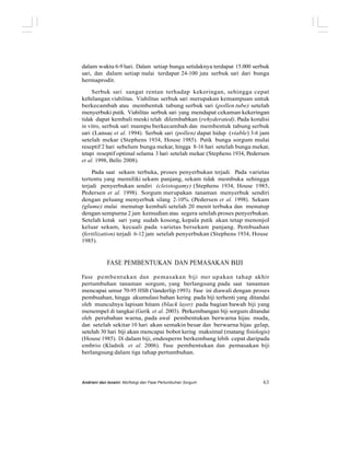dalam waktu 6-9 hari. Dalam setiap bunga setidaknya terdapat 15.000 serbuk
sari, dan dalam setiap malai terdapat 24-100 juta serbuk sari dari bunga
hermaprodit.
Serbuk sari sangat rentan terhadap kekeringan, sehingga cepat
kehilangan viabilitas. Viabilitas serbuk sari merupakan kemampuan untuk
berkecambah atau membentuk tabung serbuk sari (pollen tube) setelah
menyerbuki putik. Viabilitas serbuk sari yang mendapat cekaman kekeringan
tidak dapat kembali meski telah dilembabkan (rehyderated). Pada kondisi
in vitro, serbuk sari mampu berkecambah dan membentuk tabung serbuk
sari (Lansac et al. 1994). Serbuk sari (pollen) dapat hidup (viable) 3-6 jam
setelah mekar (Stephens 1934, House 1985). Putik bunga sorgum mulai
reseptif 2 hari sebelum bunga mekar, hingga 8-16 hari setelah bunga mekar,
tetapi reseptif optimal selama 3 hari setelah mekar (Stephens 1934, Pedersen
et al. 1998, Bello 2008).
Pada saat sekam terbuka, proses penyerbukan terjadi. Pada varietas
tertentu yang memiliki sekam panjang, sekam tidak membuka sehingga
terjadi penyerbukan sendiri (cleistogamy) (Stephens 1934, House 1985,
Pedersen et al. 1998). Sorgum merupakan tanaman menyerbuk sendiri
dengan peluang menyerbuk silang 2-10%. (Pedersen et al. 1998). Sekam
(glume) mulai menutup kembali setelah 20 menit terbuka dan menutup
dengan sempurna 2 jam kemudian atau segera setelah proses penyerbukan.
Setelah kotak sari yang sudah kosong, kepala putik akan tetap menonjol
keluar sekam, kecuali pada varietas bersekam panjang. Pembuahan
(fertilization) terjadi 6-12 jam setelah penyerbukan (Stephens 1934, House
1985).
FASE PEMBENTUKAN DAN PEMASAKAN BIJI
Fase pembentukan dan pemasakan biji mer upakan tahap akhir
pertumbuhan tanaman sorgum, yang berlangsung pada saat tanaman
mencapai umur 70-95 HSB (Vanderlip 1993). Fase ini diawali dengan proses
pembuahan, hingga akumulasi bahan kering pada biji terhenti yang ditandai
oleh munculnya lapisan hitam (black layer) pada bagian bawah biji yang
menempel di tangkai (Gerik et al. 2003). Perkembangan biji sorgum ditandai
oleh perubahan warna, pada awal pembentukan berwarna hijau muda,
dan setelah sekitar 10 hari akan semakin besar dan berwarna hijau gelap,
setelah 30 hari biji akan mencapai bobot kering maksimal (matang fisiologis)
(House 1985). Di dalam biji, endosperm berkembang lebih cepat daripada
embrio (Kladnik et al. 2006). Fase pembentukan dan pemasakan biji
berlangsung dalam tiga tahap pertumbuhan.
Andriani dan Isnaini: Morfologi dan Fase Pertumbuhan Sorgum 63
 