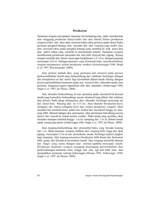 Perakaran
Tanaman sorgum merupakan tanaman biji berkeping satu, tidak membentuk
akar tunggang, perakaran hanya terdiri atas akar lateral. Sistem perakaran
sorgum terdiri atas akar-akar seminal (akar-akar primer) pada dasar buku
pertama pangkal batang, akar skunder dan akar tunjang yang terdiri atas
akar koronal (akar pada pangkal batang yang tumbuh ke arah atas) dan
akar udara (akar yang tumbuh di permukaan tanah). Tanaman sorgum
membentuk perakaran sekunder dua kali lebih banyak dari jagung. Ruang
tempat tumbuh akar lateral mencapai kedalaman 1,3-1,8 m, dengan panjang
mencapai 10,8 m. Sebagai tanaman yang termasuk kelas monokotiledone,
sorgum mempunyai sistem perakaran serabut (Artschwanger 1948, Singh
et al. 1997, Rismunandar 2006).
Akar primer adalah akar yang pertama kali muncul pada proses
perkecambahan benih yang berkembang dari radikula, berfungsi sebagai
alat transportasi air dan nutrisi bagi kecambah dalam tanah. Seiring dengan
proses pertumbuhan tanaman pada saat muncul akar sekunder pada ruas
pertama, fungsinya segera digantikan oleh akar sekunder (Arthswager 1948,
Singh et al. 1997, du Plessis 2008).
Akar skunder berkembang di ruas pertama pada mesokotil di bawah
tanah yang kemudian berkembang secara ekstensif yang diikuti oleh matinya
akar primer. Pada tahap selanjutnya, akar sekunder berfungsi menyerap air
dan unsur hara. Panjang akar ini 5-15 cm. Akar skunder berukuran kecil,
seragam, dan hanya sebagian kecil dari sistem perakaran sorgum. Akar
skunder lain tumbuh mulai pada ruas kedua dari mesokotil hingga ke atas,
yang lebih dikenal sebagai akar permanen. Akar permanen bercabang secara
lateral dan masuk ke tanah secara vertikal. Pada tanah yang gembur, akar
skunder mampu tumbuh hingga 1 m ke samping dan 2 m ke dalam tanah
untuk menyerap nutrisi (Arthswager 1948, Singh et al. 1997, du Plessis 2008).
Akar tunjang berkembang dari primordial buku yang berada kurang
dari 1 m. Pada tanaman sorgum, bahkan akar tunjang lebih tinggi dari akar
jagung, mencapai 1,2 m di atas permukaan tanah, berfungsi seperti jangkar
bagi tanaman. Akar tunjang umumnya berukuran lebih besar dan berwarna
lebih gelap jika berada di permukan tanah. Akar tunjang memiliki ukuran
dan fungsi yang sama dengan akar normal apabila mencapai tanah.
Perakaran tanaman sorgum sanggup menopang pertumbuhan dan
perkembangan tanaman ratun hingga dua atau tiga kali lebih kuat, dan
menjadikan tanaman toleran kekeringan (House 1985, Arthswager 1948,
Singh et al. 1997, du Plessis 2008).
48 Sorgum: Inovasi Teknologi dan Pengembangan
 