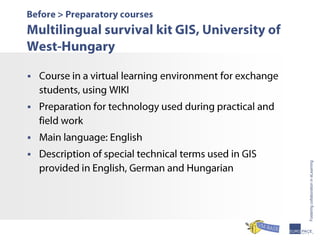 Avlm 2009  Virtual Mobility