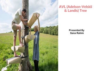 AVL (Adelson-Velskii
& Landis) Tree
.
Presented By
Sana Rahim
 