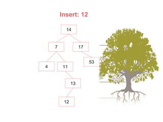 Insert: 12
14
17
7
4
53
11
13
12
 
