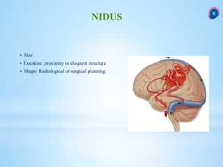  Size
 Location: proximity to eloquent structure
 Shape: Radiological or surgical planning.
NIDUS
 