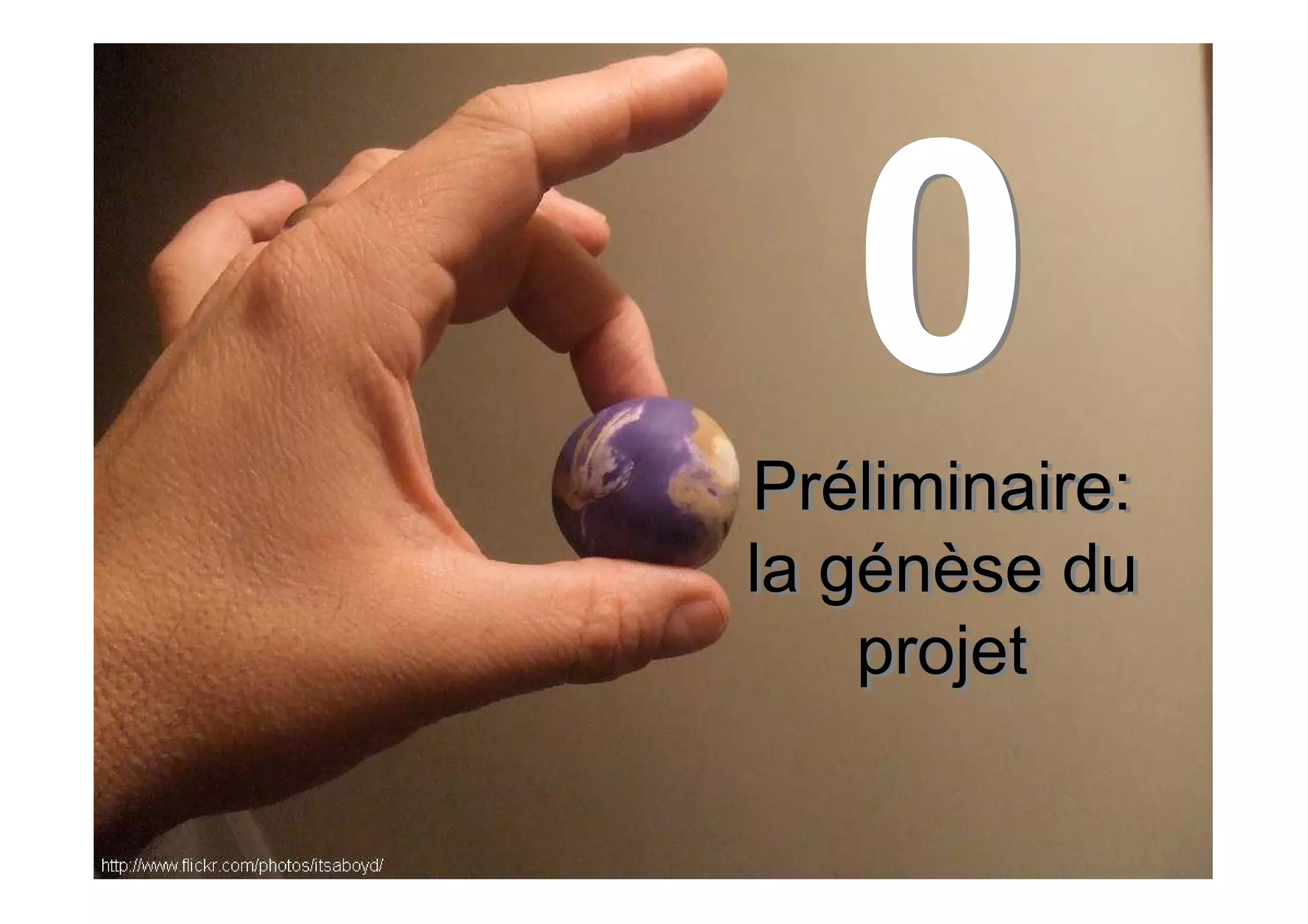 Management de Projet: piloter, animer, conduire des projets