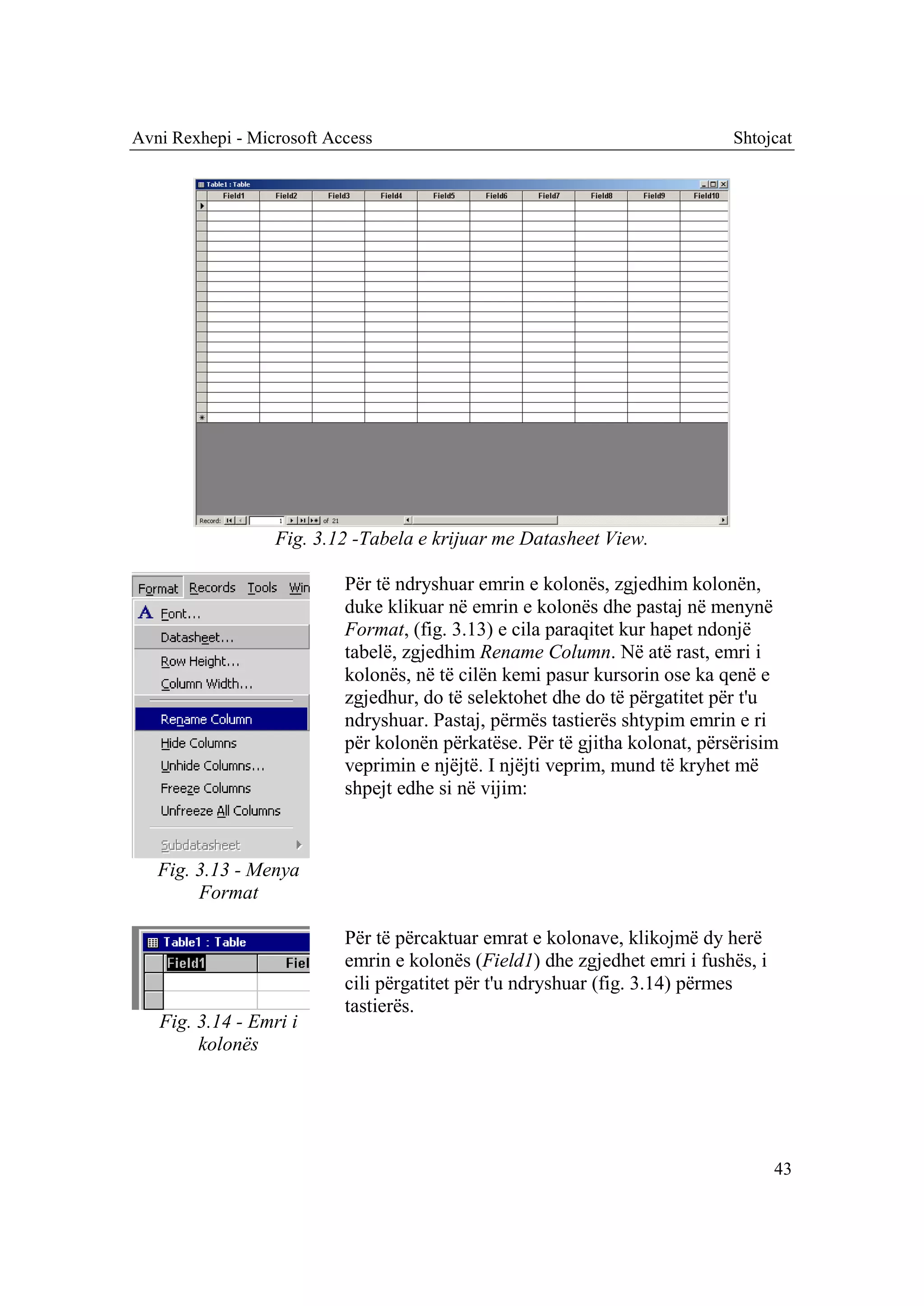 Avni Rexhepi - Microsoft Access                                              Shtojcat




                  Fig. 3.12 -Tabela e krijuar me Datasheet View.

                           Për të ndryshuar emrin e kolonës, zgjedhim kolonën,
                           duke klikuar në emrin e kolonës dhe pastaj në menynë
                           Format, (fig. 3.13) e cila paraqitet kur hapet ndonjë
                           tabelë, zgjedhim Rename Column. Në atë rast, emri i
                           kolonës, në të cilën kemi pasur kursorin ose ka qenë e
                           zgjedhur, do të selektohet dhe do të përgatitet për t'u
                           ndryshuar. Pastaj, përmës tastierës shtypim emrin e ri
                           për kolonën përkatëse. Për të gjitha kolonat, përsërisim
                           veprimin e njëjtë. I njëjti veprim, mund të kryhet më
                           shpejt edhe si në vijim:



   Fig. 3.13 - Menya
        Format

                           Për të përcaktuar emrat e kolonave, klikojmë dy herë
                           emrin e kolonës (Field1) dhe zgjedhet emri i fushës, i
                           cili përgatitet për t'u ndryshuar (fig. 3.14) përmes
                           tastierës.
   Fig. 3.14 - Emri i
        kolonës




                                                                                    43
 