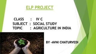 ELP PROJECT
CLASS : IV C
SUBJECT : SOCIAL STUDY
TOPIC : AGRICULTURE IN INDIA
BY -AVNI CHATURVEDI
 