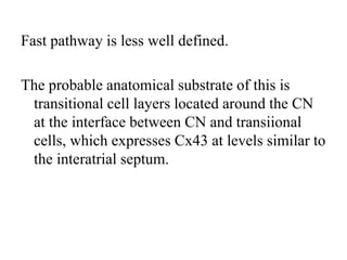 Fast pathway is less well defined.
The probable anatomical substrate of this is
transitional cell layers located around the CN
at the interface between CN and transiional
cells, which expresses Cx43 at levels similar to
the interatrial septum.
 