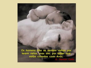 Os  homens  não  se  sentem  velhos  por  terem  netos,  mas  sim,  por  saber  que  estão  casados  com  Avós.  G.  Norman  Collie 