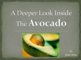 A Deeper Look Inside The Avocado By Matt Klim 