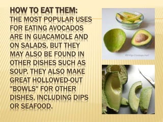 HOW TO EAT THEM:
THE MOST POPULAR USES
FOR EATING AVOCADOS
ARE IN GUACAMOLE AND
ON SALADS, BUT THEY
MAY ALSO BE FOUND IN
OTHER DISHES SUCH AS
SOUP. THEY ALSO MAKE
GREAT HOLLOWED-OUT
"BOWLS" FOR OTHER
DISHES, INCLUDING DIPS
OR SEAFOOD.
 