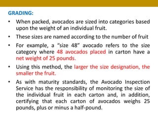 Package of Practices of Avocado | PDF