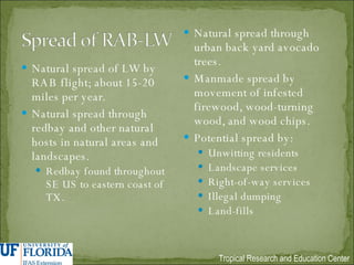 Natural spread of LW by RAB flight; about 15-20 miles per year. Natural spread through redbay and other natural hosts in natural areas and landscapes. Redbay found throughout SE US to eastern coast of TX. Natural spread through urban back yard avocado trees. Manmade spread by movement of infested firewood, wood-turning wood, and wood chips. Potential spread by: Unwitting residents  Landscape services Right-of-way services Illegal dumping Land-fills 