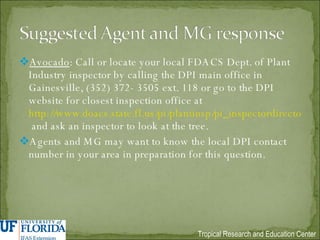 Avocado : Call or locate your local FDACS Dept. of Plant Industry inspector by calling the DPI main office in Gainesville, (352) 372- 3505 ext. 118 or go to the DPI website for closest inspection office at  http://www.doacs.state.fl.us/pi/plantinsp/pi_inspectordirectory/pi_insp_map.html  and ask an inspector to look at the tree. Agents and MG may want to know the local DPI contact number in your area in preparation for this question. 