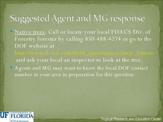 Native trees : Call or locate your local FDACS Div. of Forestry forester by calling 850-488-4274 or go to the DOF website at  http://www.fl-dof.com/field_operations/county_foresters/index.html  and ask your local an inspector to look at the tree. Agents and MG may want to know the local DOF contact number in your area in preparation for this question. 