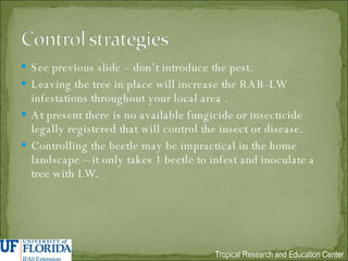 See previous slide – don’t introduce the pest. Leaving the tree in place will increase the RAB-LW infestations throughout your local area . At present there is no available fungicide or insecticide legally registered that will control the insect or disease. Controlling the beetle may be impractical in the home landscape – it only takes 1 beetle to infest and inoculate a tree with LW. 